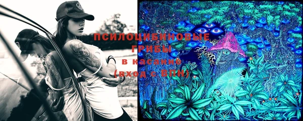 гашик Абинск