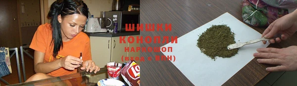 индика Абдулино