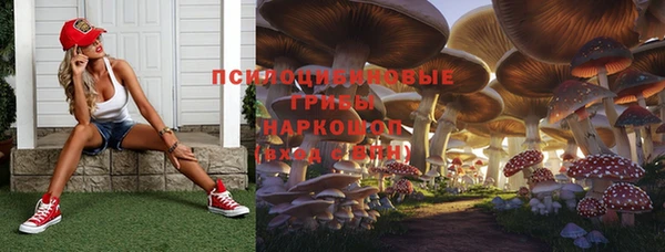 скорость Абаза