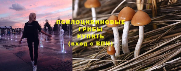 скорость Абаза