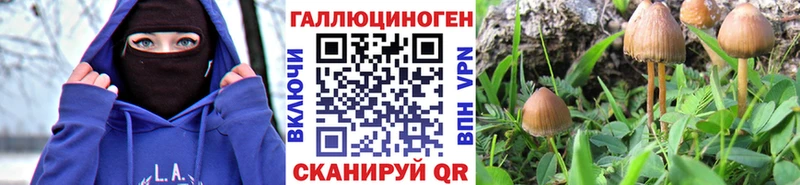 Галлюциногенные грибы Psilocybe  Грозный 